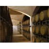 Malbec, Merlot, Ancellota, Cabernet Sauvignon, Chardonnay, Torronts y otros vinos de alta gama