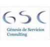 GNESIS DE SERVICIOS CONSULTING