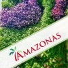 AMAZONAS PAISAJISMO - JARDINES VERTICALES