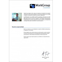 WorkGroup Consultants