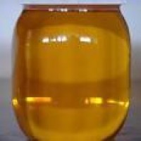 Aceite de Jatropha para la produccin de biodiesel
