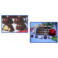 Linea Artesanal de Chocolates 50 kg/h