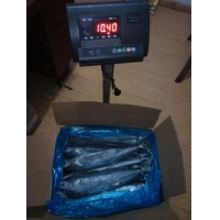 Spanish mackerel(scomberomorus niphonius) 500-750g 