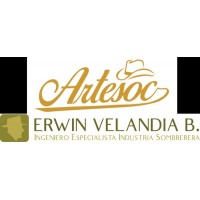 ERWIN VELANDIA B - ARTESOC