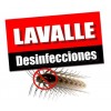 LAVALLE DESINFECCIONES