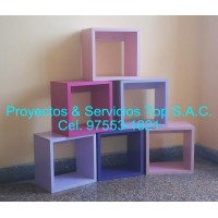 PROYECTOS & SERVICIOS TOP S.A.C.