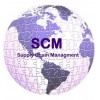 Scm Consultora