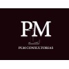 PLM CONSULTORIAS