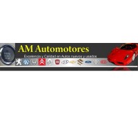AM AUTOMOTORES