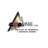 ECOMINE SERVICIOS MINEROS LTDA