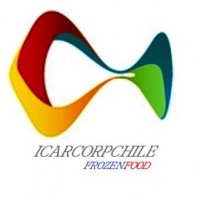 ICARCORP S.P.A