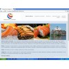 Exportacin Salmon HG Premium CHILE.