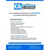 CASTILLO & ASOCIADOS.