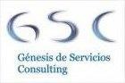 GNESIS DE SERVICIOS CONSULTING