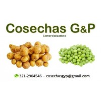 COSECHAS G&P