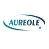 JIANGSU AUREOLE ULTRAHIGH PURITY TUBE CO LTD