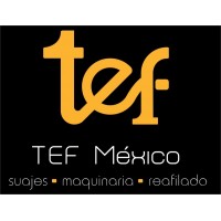 TEF MEXICO S.A. DE C.V.