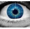 AGENCIA ALFA DETECTIVES  INVESTIGADORES PRIVADOS