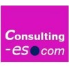 CONSULTING-ES.COM