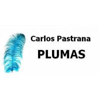 Plumas para carnaval y eventos