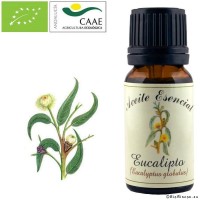 Aceite Esencial Eucalipto Bio. 12 ml