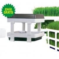 Germinador Cultivador HealthySprouter  - Lexen