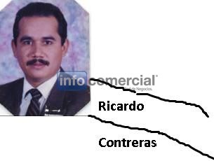 Auditoria Internas y Externas, Comisario, Interventor, Miembro de Directorio