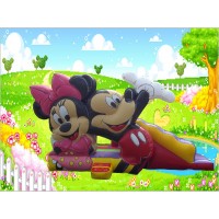Castillo Mickey y Minnie