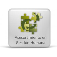 Asesoramiento en Gestin Humana