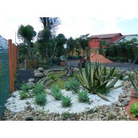 Servicios de mantenimiento y diseo de Jardines a hogares y empresas. viveroonline SAS