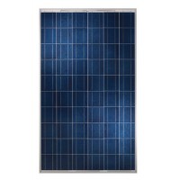 240W POLICRISTALINO PANELES SOLARES