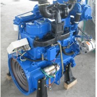 Motor Marino Ricardo R4105ZC