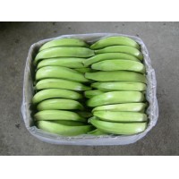 Plátano Verde Barraganete Macho