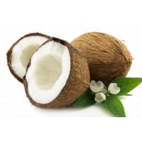 COCOMAXX:  PRODUCTOS DERIVADOS DEL COCO: Aceite, Pulpa,Crema, fibra, Cascara