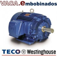 Motores TECO Westinghouse