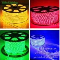 220V LED de iluminacin de la cinta, RGB luces de la cuerda del da de fiesta, luz de tira decorativa del 5050SMD