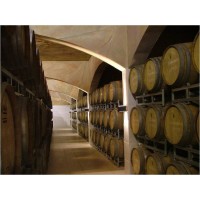Grandes vinos varietales orgánicos certificados, premium y blends de alta gama del Valle Central (Mendoza, Argentina)