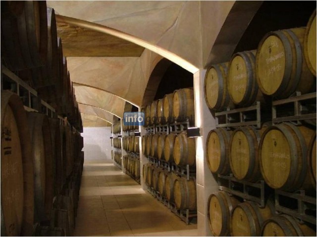 Grandes vinos varietales orgánicos certificados, premium y blends de alta gama del Valle Central (Mendoza, Argentina)