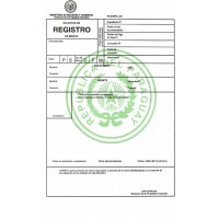 REGISTRO DE MARCAS EN PARAGUAY - EN ADUANAS- DEFENSA DE MARCAS ANTIPIRATERA - ANTIPLAGIO