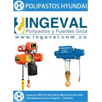 Hyundai Hoist