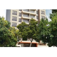 TORRE AMARANTO | 9693