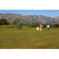 SANTA MARA COUNTRY & GOLF | 8864