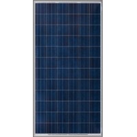 Panel solar 300w