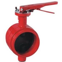 DI Centerline Butterfly Valve