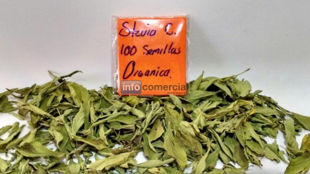 Semillas organicas de stevia rebaudiana