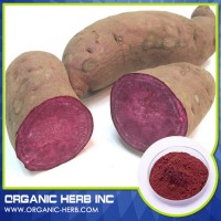 Food Grade Purple Sweet Potato Pigment Powder