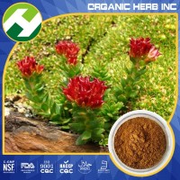 Rhodiola rosea extract / Rhodiola sachalinensis P.E.