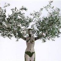 Artificial Silk Olive Tree