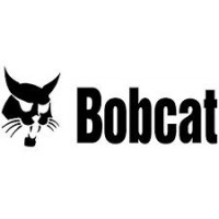 10X16.5 MINICARGADORA Bob Cat  Rodamarsa