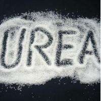 Urea Rusa